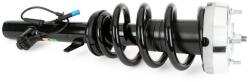 Arnott Amortizor Arnott SK-3605 (SK-3605) - fixbox