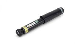 Arnott Amortizor Arnott SK-3311 (SK-3311)