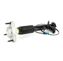 Arnott Amortizor Arnott SK-3817 (SK-3817) - fixbox
