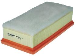 FILTRON Filtru aer FILTRON AP 196/5 (AP 196/5) - fixbox