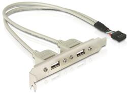 Delock Hátlapi kivezetés > 2x USB 2.0 Type-A (71000) - digitalgo
