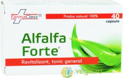 FarmaClass Alfalfa Forte 40 comprimate