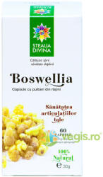 Steaua Divina Boswellia 60 comprimate