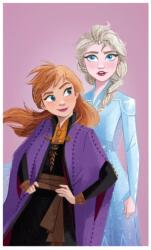 Jerry Fabrics Disney Jégvarázs kéztörlő törölköző, lila 30x50 cm (Purple) (jf_206357)