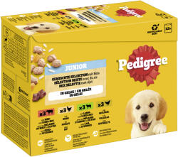 PEDIGREE 12x100g Pedigree Junior nedves kutyatáp - Vegyes csomag aszpikban