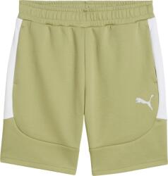 PUMA teamEvostripe Short Rövidnadrág 659951-40 Méret M 659951-40