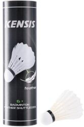 Kensis FSC 6 os