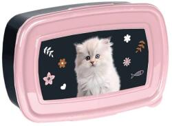 PASO cicás uzsonnás doboz - Little Meow (PP25CO-3022)