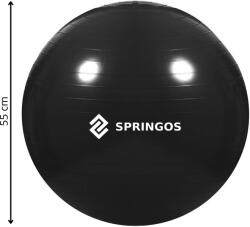 Springos Fb0013 Gimnasztikai Labda Pumpával 55 Cm (fb0013)