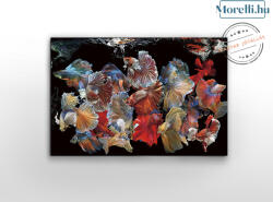 SCHULLER Schuller-755016 Peces Siam Többszínű Kép (755016)
