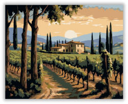  Toszkán Szőlőültetvény Naplementében - számfestő készlet