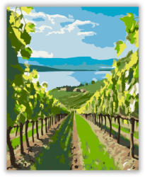  Badacsonyi Szőlőskert - számfestő készlet