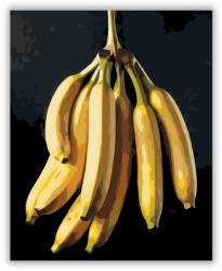  Banánfürt Sötét Háttérrel - számfestő készlet