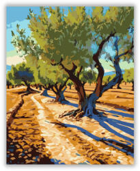  Andalúziai Olajfaliget - számfestő készlet