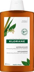 Klorane Korpásodás elleni sampon galangállal 400 ml