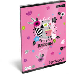 Lizzy Card Lollipop: Raccoon Sweetie Szótár füzet - A5 (21868352) (21868352)