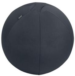 Leitz Minge de exerciții Leitz Ergo 55cm gri închis Minge fitness