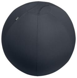 Leitz Minge de exerciții Leitz Ergo 75 cm gri închis Minge fitness