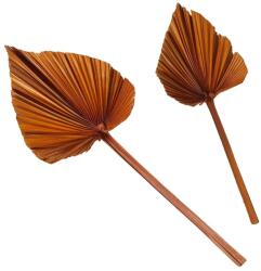 Boltze dekoráció Areca 2 db narancssárga - narancssárga Univerzális méret