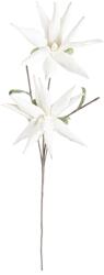 Bizzotto művirág White Aloe Chinesis fehér - fehér Univerzális méret