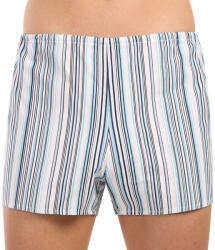 Foltýn Pantaloni scurți clasici pentru bărbați Foltýn dungi ușoare supradimensionate (KN83) 5XL (181601)