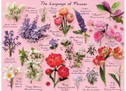 Galison 79275 - Language of Flowers - 1000 db-os puzzle (79275)