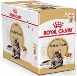 Royal Canin Main Coon 85G x12DB