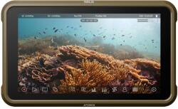 Atomos Ninja (2023) (ATOMNJA004)