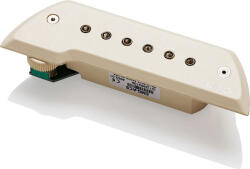 EMG ACS Ivory - jumbomusic