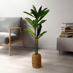 Műnövény dekoráció - Dracaena Fragrans - 1, 1-1, 2 m 11906 (11906) - globalsales