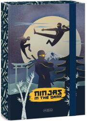 Ars Una Ninjas in the Dark A4 füzettartó box (50854578)