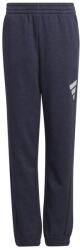 Adidas Boys Future Icons 3Stripes Pant - shadow navy/dash grey - Kék