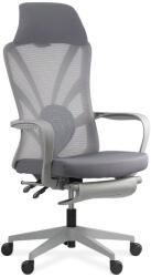 Chairs ON SYYT 9512