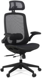 Chairs ON SYYT 9509
