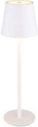 GLOBO Vannie 58438W