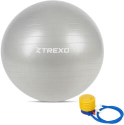 TREXO TXO-B4Z009-GY gimnasztikai labda 75 CM szürke