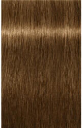 Schwarzkopf Igora Royal Absolutes Vopsea permanentă 60 ml (SK2611106)