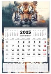 Kalendart 2025/2026 Tiger 16 havi diák falinaptár (26D7620-000) - tintasziget