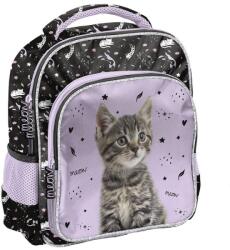 Paso Ghiozdan cu un compartiment, model CAT - Paso