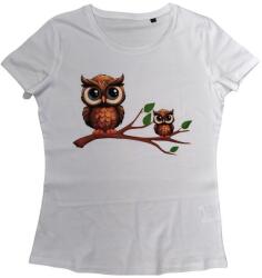 Kariban Bagoly (BG01)