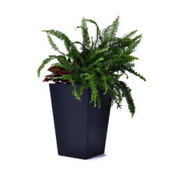 Keter Rattan Planter M virágtartó (LZ228974)