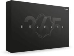 MAGIX Sequoia Pro 365 (12 Mth Sub) (Digitális termék)