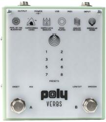 Poly Effects Verbs Gitáreffekt (VERBS)