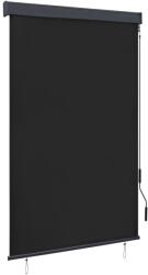vidaXL antracitszürke kültéri roló 120 x 250 cm (145964)