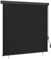 vidaXL antracitszürke kültéri roló 160 x 250 cm (145976)