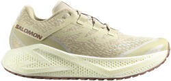 Salomon Aero Glide 3 GRVL Green Haze/Vanilla Ice/Russet Férfi futócipő UK 10, 5