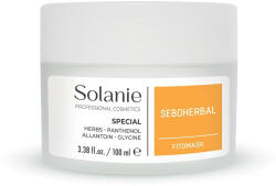 Solanie Seboherbal fitomaszk 100ml