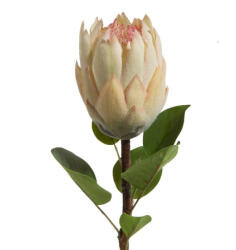  Virág 358 Krémszín (423276)