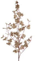  Mű orchidea Világosbézs (451522)