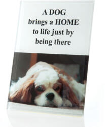 Print fix hátterű kép üzenettel Fehér 12x18 cm (48630)